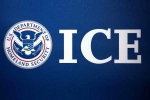 129 among 130 arrested, 129 among 130 arrested, us 129 indians among 130 students arrested in pay to stay immigration fraud, 90 students arrested