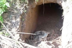 20 meter tunnel discovered from Pakistan in J&K, Sambha, bsf found 20 meter tunnel from pakistan in sambha j k, Pakistan rangers