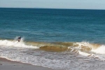 World Bank, Indian-origin, indian origin world bank senior economist drowns at bali beach, Bali beach