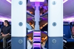 Air New Zealand Bunk Beds new updates, Air New Zealand Bunk Beds 2026, air new zealand introduces bunk beds in economy flights, New zealand