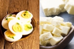 Boiled Eggs vs Paneer Cubes latest breaking, Boiled Eggs vs Paneer Cubes for protein, boiled eggs vs paneer cubes best option as protein snack, Holi