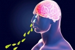 Primary Amoebic Meningoencephalitis news, Primary Amoebic Meningoencephalitis news, brain eating amoeba in kerala why and how it spreads, Woman