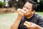 Bread, Bread for weightloss latest update, will bread help in weightloss, Burger