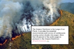 amazon forest, amazon forest, in pictures devastating fires in amazon rainforest visible from space, Npt