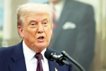 Donald Trump, Sergio Gor updates, donald trump names close political aide as india ambassador, Ai advisor
