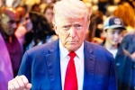 USA Green Card Lottery latest update, Donald Trump on USA Green Card Lottery, donald trump suspends green card lottery, Afghanistan USA Green Card Lottery latest update, Donald Trump on USA Green Card Lottery, donald trump suspends green card lottery, Afghanistan