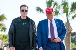 Donald Trump latest, Elon Musk news, donald trump finally addresses rumors about elon musk, South african