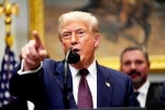 Donald Trump latest, Donald Trump India tariff, why is donald trump not happy with india, Interview