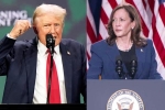 Donald Trump, Donald Trump Vs Kamala Harris latest, donald trump calls kamala harris is married to a jewish man, Nominatio