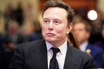 Elon Musk Epstein Files news, Elon Musk Epstein Files updates, elon musk named in new epstein files, It department