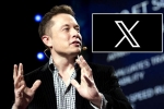X subscription breaking news, X subscription paid, elon musk announces that x would be paid for everyone, Revenue