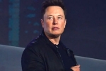 Elon Musk latest update, Twitter, elon musk talks about cage fight again, Billionaires