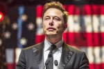 Trump about musk, Musk reply on social media, is elon musk in the trump cabinet, Fbi