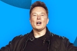 Elon Musk breaking updates, Elon Musk latest updates, elon musk s new ultimatum to twitter staffers, Tesla