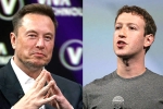 Elon Musk, Elon Musk and Mark Zuckerberg war, elon vs zuckerberg mma fight ahead, Tech giants
