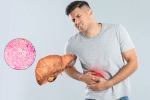 Fatty Liver breaking, Fatty Liver medication, fatty liver can be reversed in just one month, Fatty liver