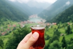 International Tea Day significance, International Tea Day significance, international tea day 2025 facts and significance, Fav