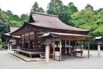 Japan Viral Mikami Shrine videos, Japan Viral Mikami Shrine, why are travellers flocking to japan s viral mikami shrine, Hair Japan Viral Mikami Shrine videos, Japan Viral Mikami Shrine, why are travellers flocking to japan s viral mikami shrine, Hair