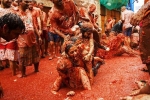 la tomatina tickets, tomato festival spain 2019, la tomatina 2019 thousands hurl fruit at fun food festival, La tomatina