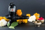 maha shivaratri 2019 isha, sawan shivratri 2019 date, maha shivratri 2019 visit these lord shiva temples to witness best of the maha shivratri, Maha shivratri