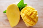 calcium carbide on fruits, calcium carbide on fruits, mouth watering mangoes may contain cancer causing chemicals, Arsenic