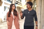 Nagarjuna movie review, Nagarjuna movie review, manmadhudu 2 movie review rating story cast and crew, Manmadhudu 2