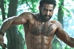 Ramaraju for Bheem latest updates, Ramaraju for Bheem, ramaraju for bheem ntr s deadly transformation as komaram bheem, Best actors