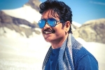 Nagarjuna news, Nagarjuna next film, nag in a bollywood remake, Manmadhudu 2