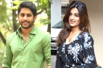 Niddhi Agerwal, Naga Chaitanya next movie, chaitu to romance niddhi agerwal, Niddhi agerwal