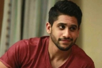 Naga Chaitanya updates, Naga Chaitanya upcoming film, naga chaitanya in talks for a web film, Web film