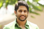 Naga Chaitanya next film, Naga Chaitanya, naga chaitanya signs his next, Savyasachi