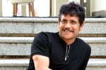 Naga Chaitanya, Nagarjuna new projects, nagarjuna s 100th film will be a multi starrer, Nagarjuna 100th film