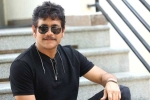 Nagarjuna next movie, Nagarjuna and Akhil film, nagarjuna s 100th film locked, Nagarjuna 100th film