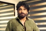 Nagarjuna Personal Rights new updates, Nagarjuna Personal Rights court, delhi high on nagarjuna s personal rights, Aishwarya rai bachchan