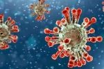 China, Coronavirus, new china coronavirus variant traced in india, Health minister