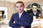 Nehal Deepak Modi breaking, Nehal Deepak Modi in USA, nirav modi s brother arrested in usa, Dating