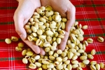 Pistachios advantages, Pistachios protein snack, pistachios are a perfect protein snack, Maxim