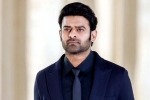 Prabhas Raja Deluxe, Prabhas news, new updates of prabhas and maruthi film, Boman