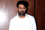 Prabhas movie budget, Maruthi, two beauties locked to romance prabhas, Niddhi agerwal