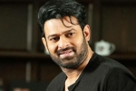 Prabhas Project K breaking news, Prabhas new film, prabhas to join project k from november, C ashwini dutt