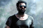 Prabhas Salaar new updates, Prithviraj Sukumaran in Salaar, prabhas salaar to have malayalam star, Shruthi haasan
