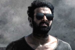 Prabhas new look, Salaar, prabhas to showcase his abs in salaar, Six pack