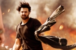 Saaho updates, Saaho latest, saaho ten days telugu states collections, Neil nitin mukesh