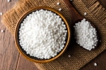 Sabudana latest breaking, Sabudana news, is sabudana good for health, Sweet