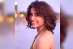 Samantha news, Samantha breaking news, samantha shares a glimpse of aerial yoga, Dry fruits