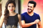 Samantha, Samantha news, samantha and akhil to clash in august, Bollywood films Samantha, Samantha news, samantha and akhil to clash in august, Bollywood films