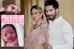 Shahid Kapoor new film, Shahid Kapoor family, shahid and mira blessed with a baby girl, Haider