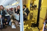 Singapore Airlines turbulence, Singapore Airlines turbulence horror videos, one dead and 30 injured in singapore airlines turbulence horror, Singapore airlines