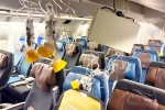 Singapore Airlines turbulence, Singapore Airlines turbulence horror news, singapore airlines statement after turbulence horror, Singapore airlines