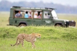 South African Safari Trip total days, South African Safari Trip total video, how to plan your south african safari trip, Reviews